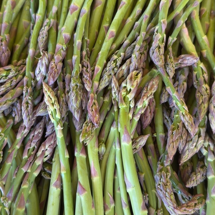 Fresh asparagus